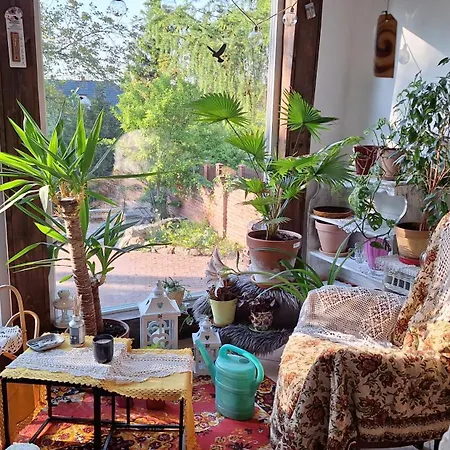 U Lunatyka * Zlotniki Lubanskie